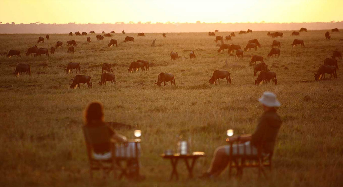 Sundowner, Masai Mara