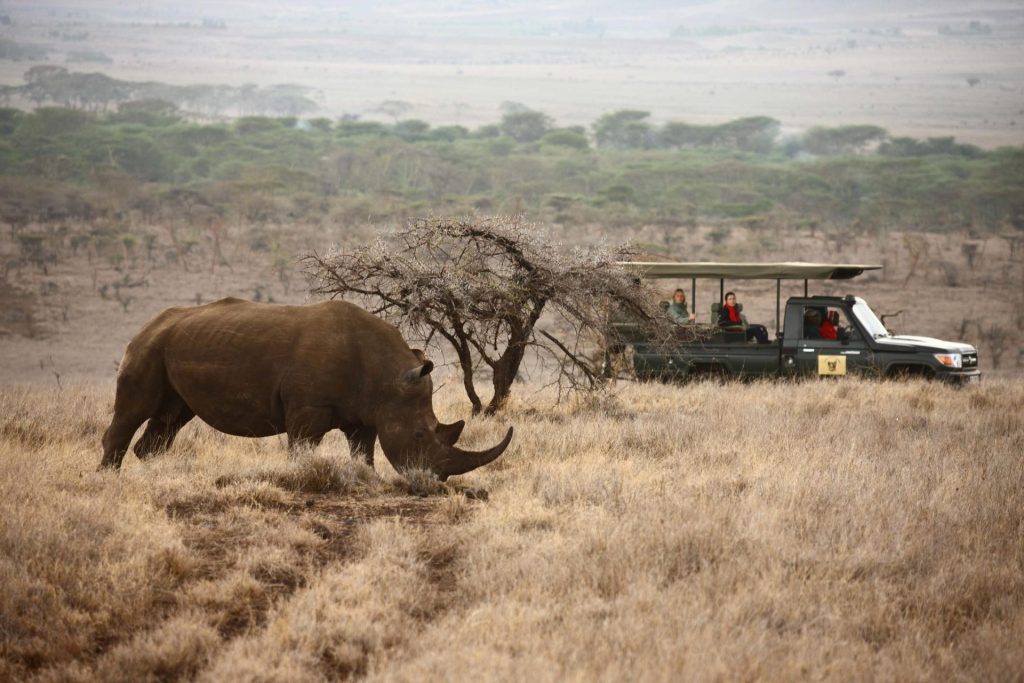 tanzania exclusive safari